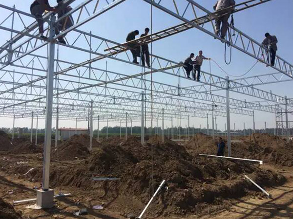 浙江智能溫室大棚骨架施工