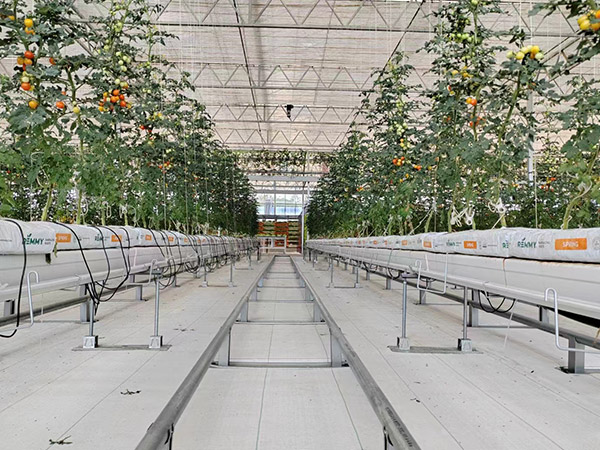 浙江無土栽培溫室工程