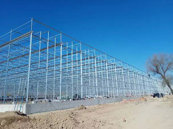 浙江溫室大棚工程骨架施工