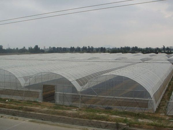 長(zhǎng)沙蔬菜薄膜大棚