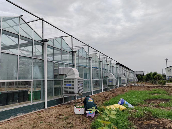 大連現(xiàn)代農(nóng)業(yè)智能玻璃大棚