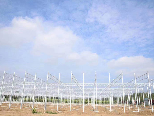 浙江溫室大棚骨架建造