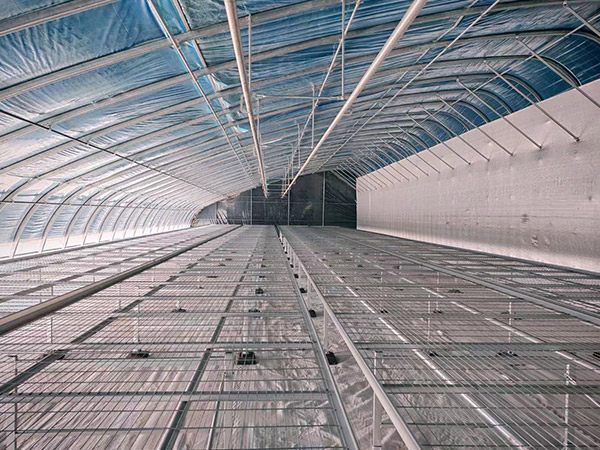 浙江日光大棚建造