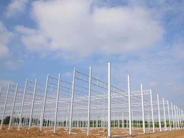 浙江溫室大棚骨架搭建