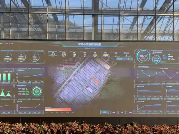 浙江智能化管理溫室大棚