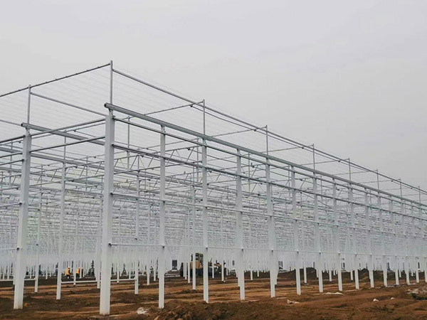 連云港溫室大棚骨架