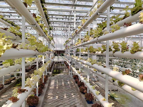 無(wú)土栽培智能溫室